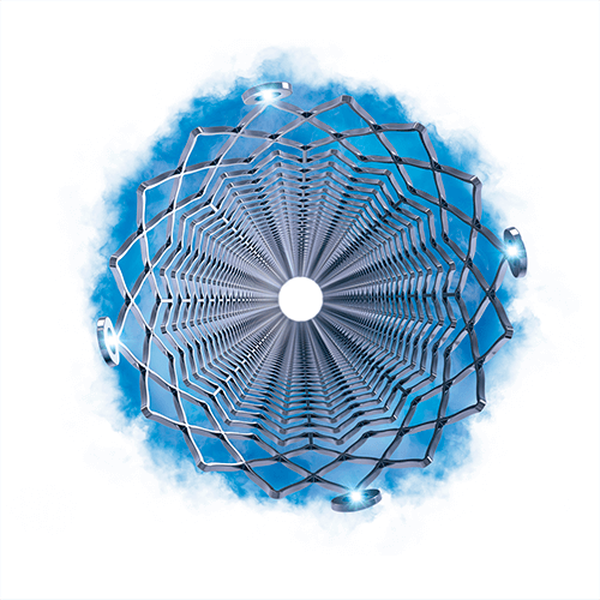 СТЕНТ С ЛЕКАРСТВЕННЫМ ПОКРЫТИЕМ ELUVIA image