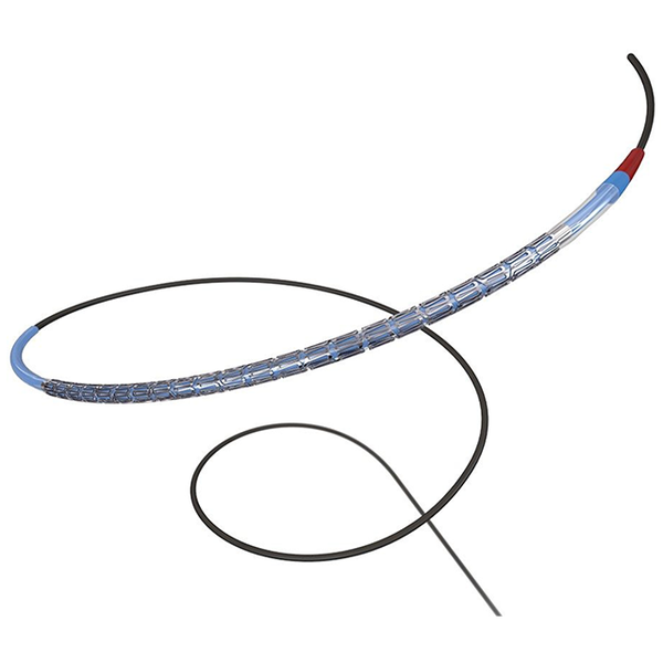 СТЕНТ ПЛАТИНО-ХРОМОВЫЙ С ЛЕКАРСТВЕННЫМ ПОКРЫТИЕМ ЭВЕРОЛИМУС PROMUS ELITE image