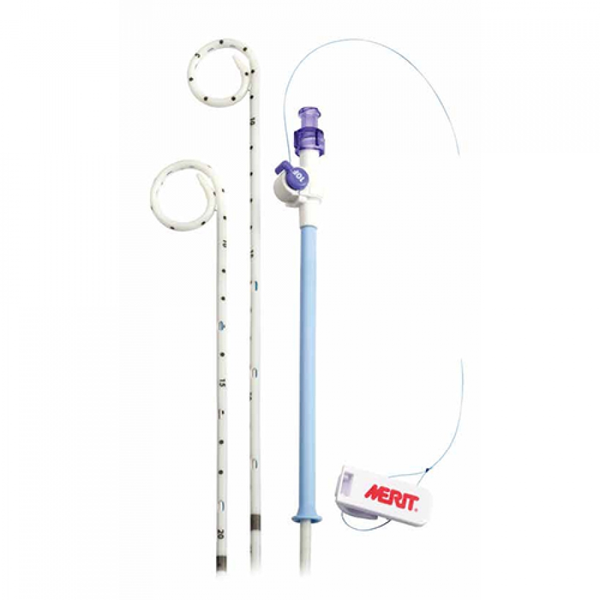 RESOLVE ЗАПИРАЮЩИЙСЯ КАТЕТЕР ДЛЯ БИЛИАРНОГО ДРЕНИРОВАНИЯ image