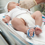 ИНКУБАТОР ДЛЯ НОВОРОЖДЕННЫХ COMEN B2 image