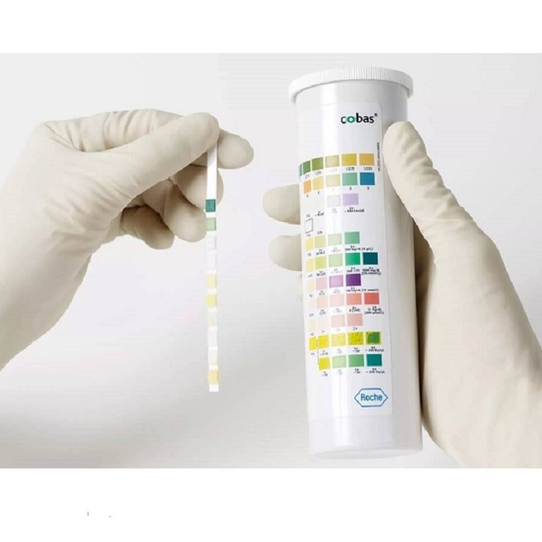 ТЕСТ-ПОЛОСКИ ДЛЯ ОПРЕДЕЛЕНИЯ УРОВНЯ РН ЛЕЙКОЦИТОВ НИТРИТОВ БЕЛКОВ ГЛЮКОЗЫ КЕТОНОВЫХ ТЕЛ УРОБИЛИНОГЕНА БИЛИРУБИНА ЭРИТРОЦИТОВ И УДЕЛЬНОГО ВЕСА В МОЧЕ image