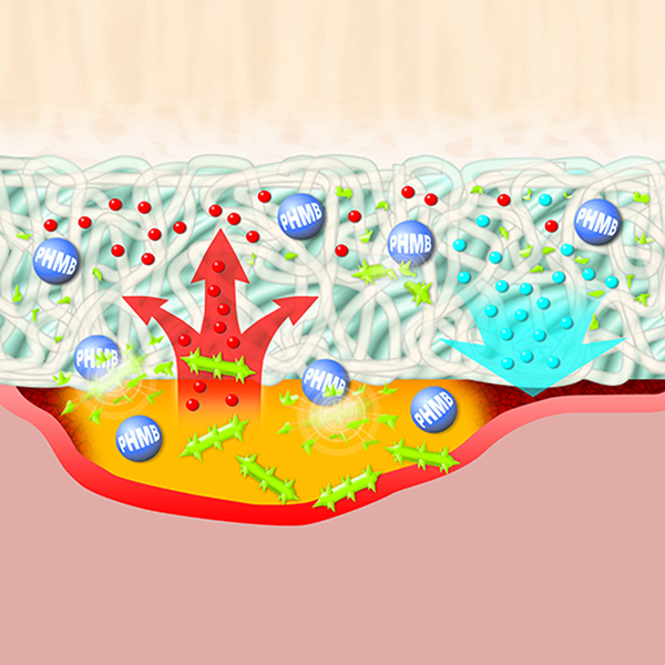 СУПРАСОРБ X+PHMB (SUPRASORB X+PHMB) ГИДРОБАЛАНС С АНТИБАКТЕРИАЛЬНЫМ ЭФФЕКТОМ image