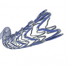 КОРОНАРНЫЙ СТЕНТ