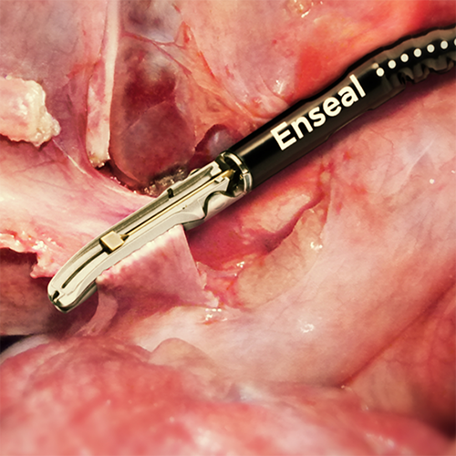 Изображение ИНСТРУМЕНТ ДЛЯ ДИССЕКЦИИ И ЛИГИРОВАНИЯ ИЗГИБАЕМЫЙ ENSEAL G2 ART