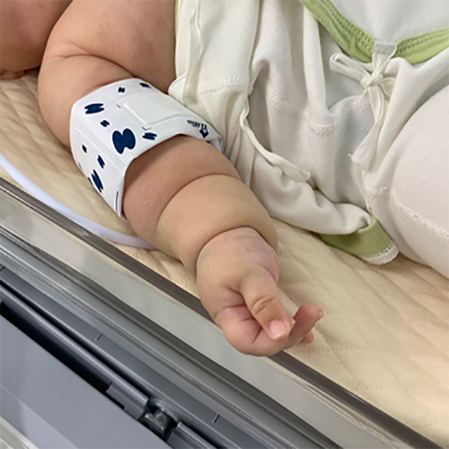 Изображение ИНКУБАТОР ДЛЯ НОВОРОЖДЕННЫХ COMEN B2