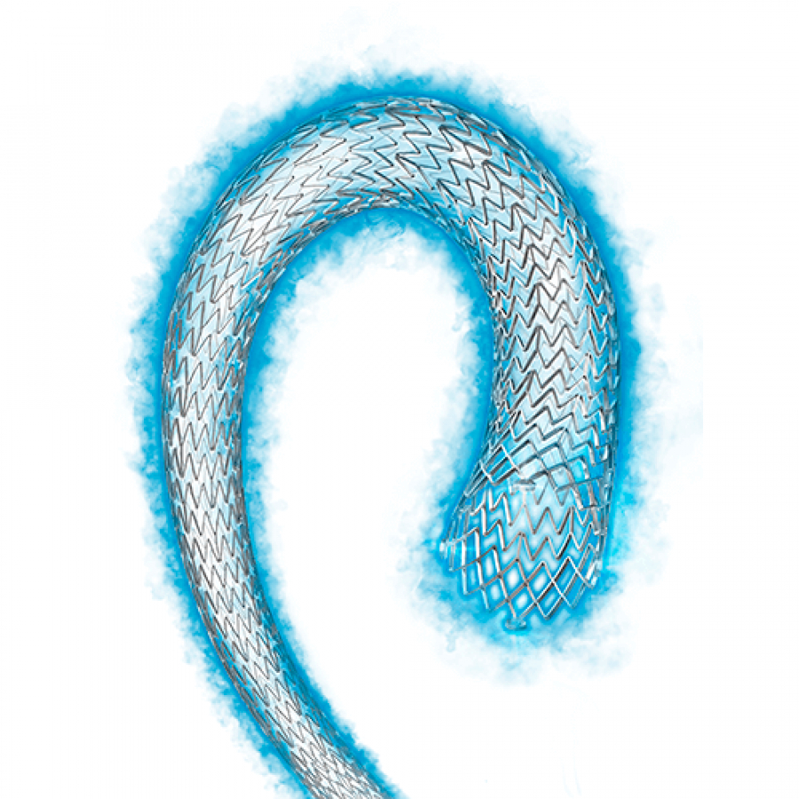 СТЕНТ С ЛЕКАРСТВЕННЫМ ПОКРЫТИЕМ ELUVIA