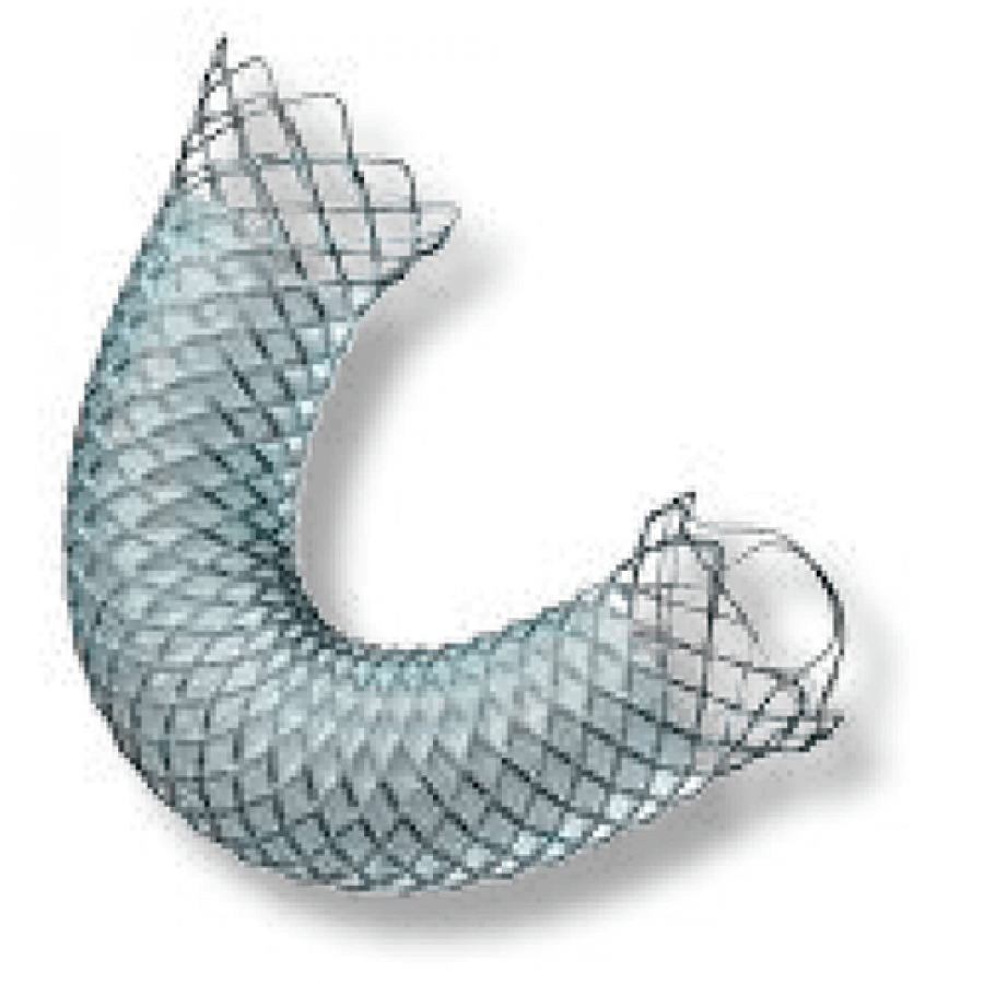 БИЛИАРНЫЙ СТЕНТ WALLFLEX